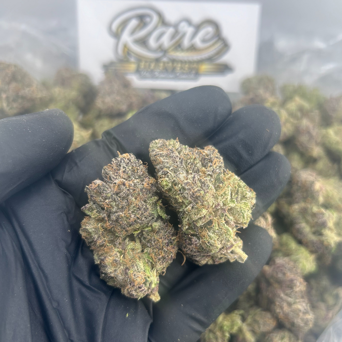 Variety 50-Pack Flower 3.5g — Packaged Ready-to-Sell THCA Cannabis - 5 Strains (175 grams total)