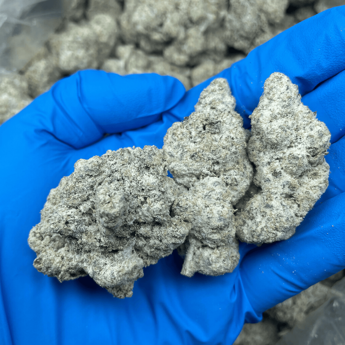 Bulk Snowballs